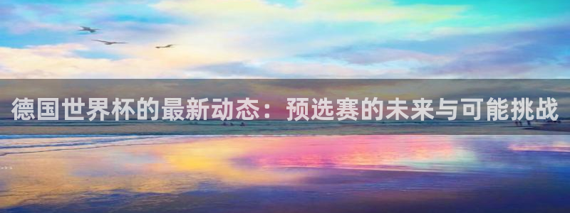 世界杯直播免费观看:德国世界杯的最新动态:预选赛的未来与可能挑战