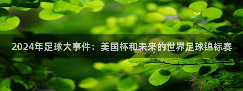 世界杯直播高清:2024年足球大事件:美国杯和未来的世界足球锦标赛