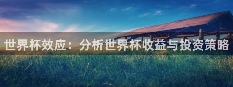 世界杯预选赛欧洲赛区积分榜:世界杯效应:分析世界杯收益与投资策略