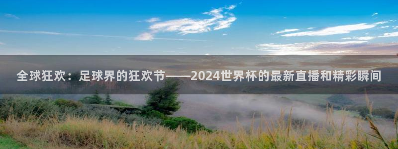 世界杯足球赛2026:全球狂欢:足球界的狂欢节——2024世界杯的最新直播和精彩瞬间
