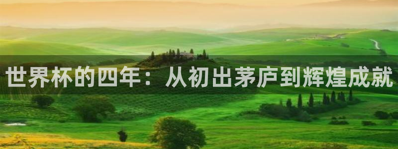 世界杯2026赛程时间表格:世界杯的四年:从初出茅庐到辉煌成就