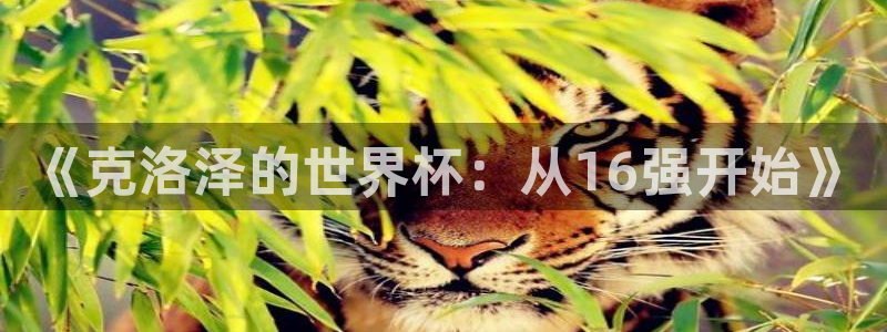 世界杯第一场比赛:《克洛泽的世界杯:从16强开始》